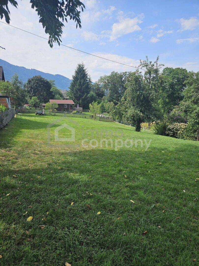 Weitläufige grüne Rasenfläche auf einem Hang mit Bäumen und einem Haus im Hintergrund.