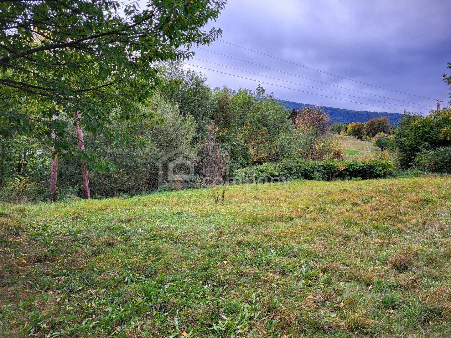 Naturbelassene Wiese mit Bäumen im Hintergrund und Fernblick auf die umliegende Landschaft.