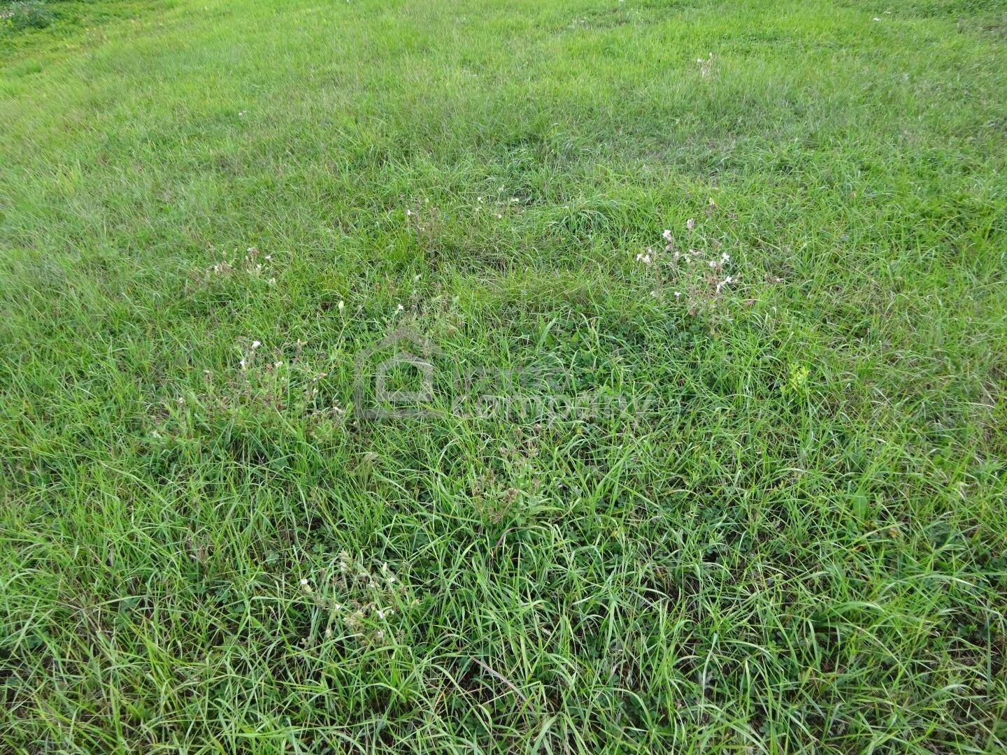 Tontti, 638 m²