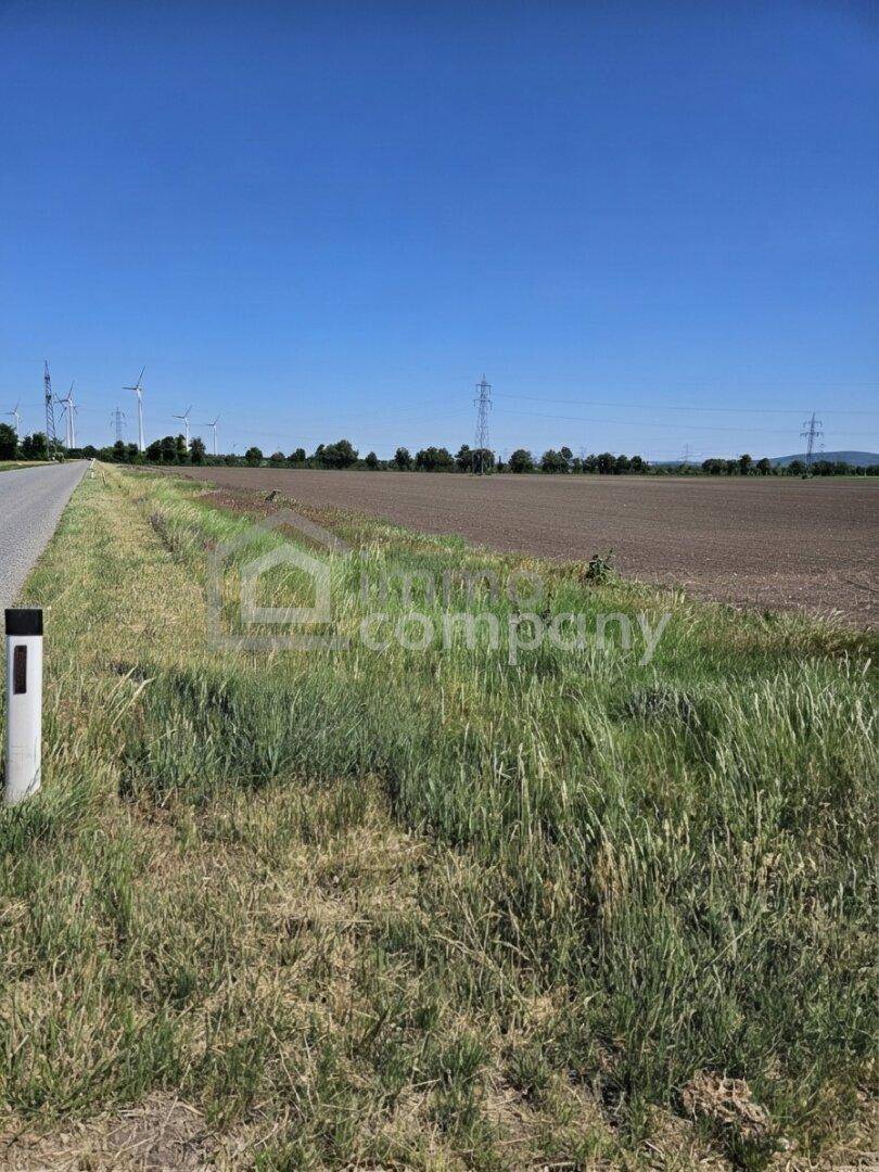 Ackerland mit Windrädern und Stromleitungen in der Ferne unter einem weiten blauen Himmel.