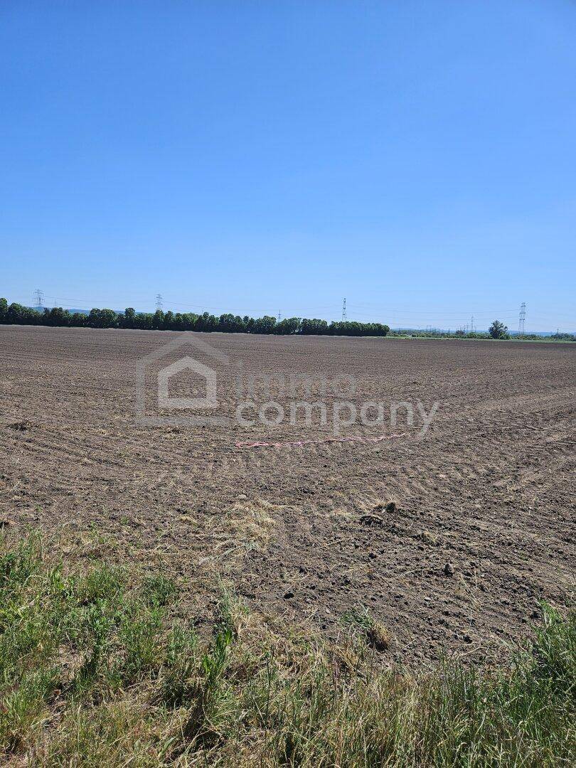 Ausgedehntes Ackerland unter strahlend blauem Himmel, ideal für ländliche Entwicklung.