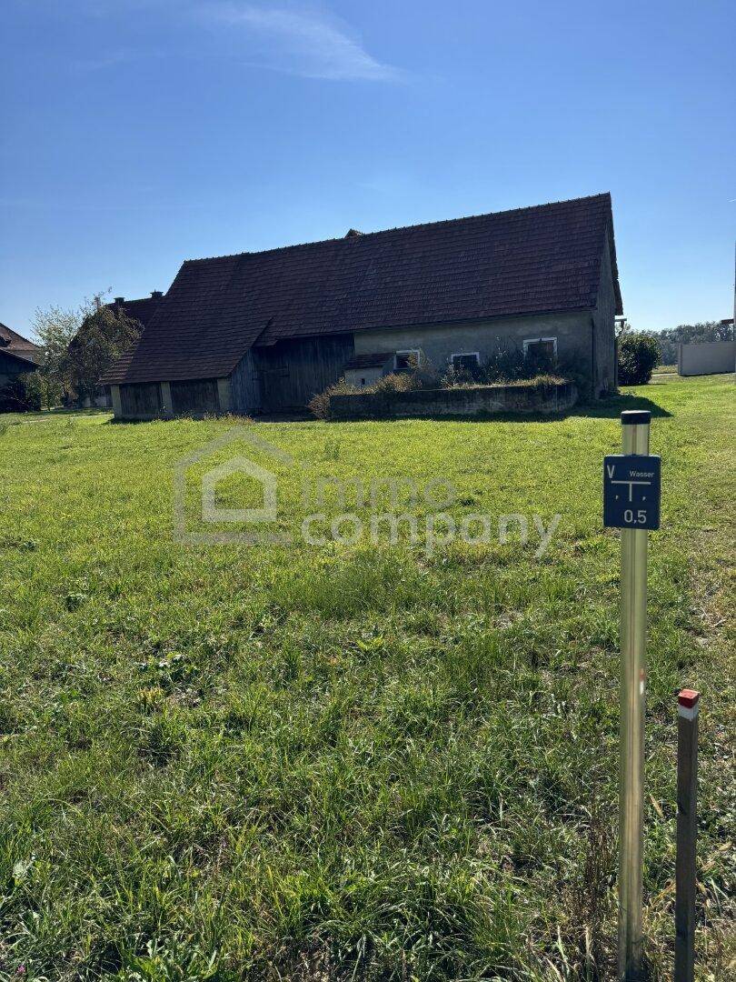 Wiese hinterm Wirtschaftsgebäude