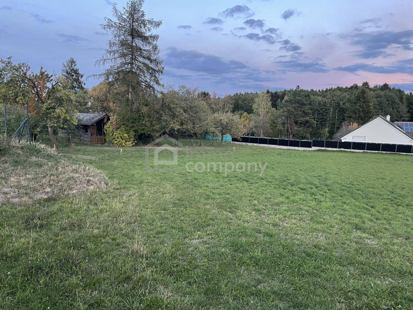 Grüne Fläche mit Baumbestand, einem kleinen Schuppen und einem Haus im Hintergrund bei Sonnenuntergang.