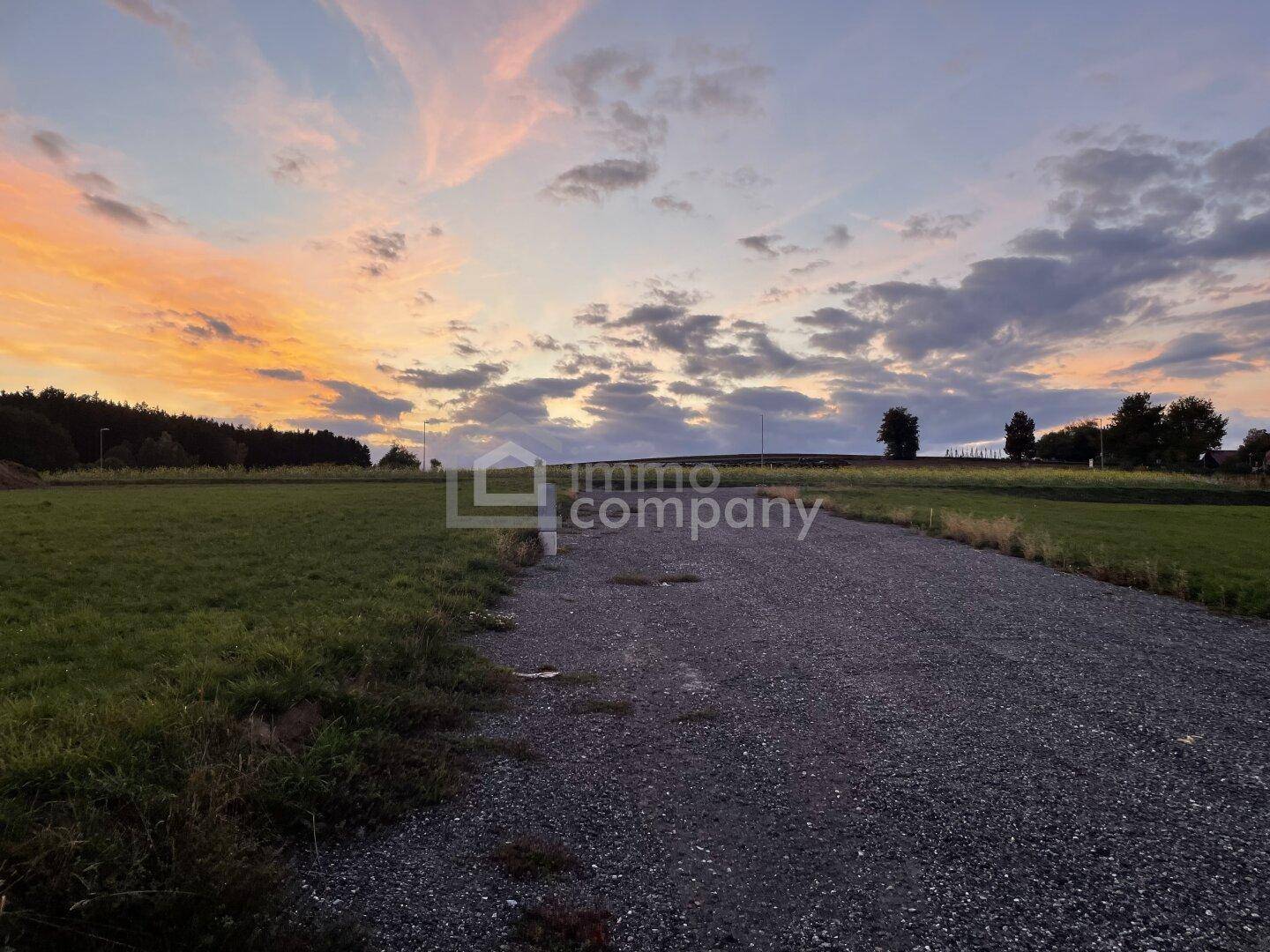 Schotterweg führt durch eine ländliche Gegend mit Feldern und Bäumen unter einem Abendhimmel.