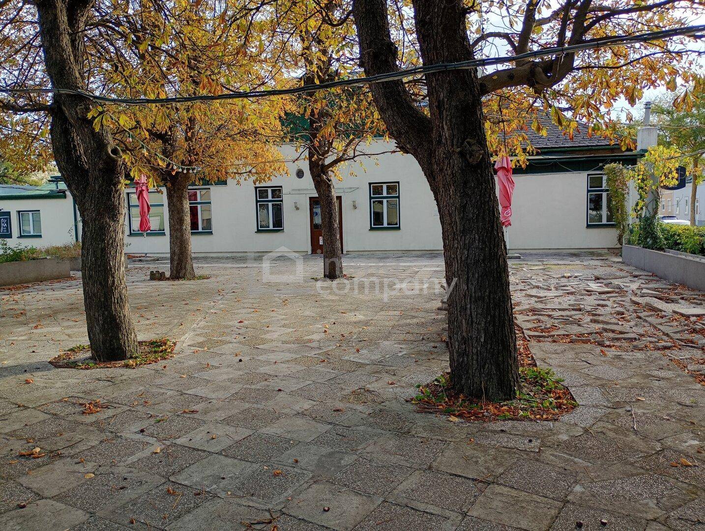 Weitläufiger gepflasterter Hof mit alten Bäumen und einem Gebäude im Hintergrund, bedeckt mit Herbstlaub.