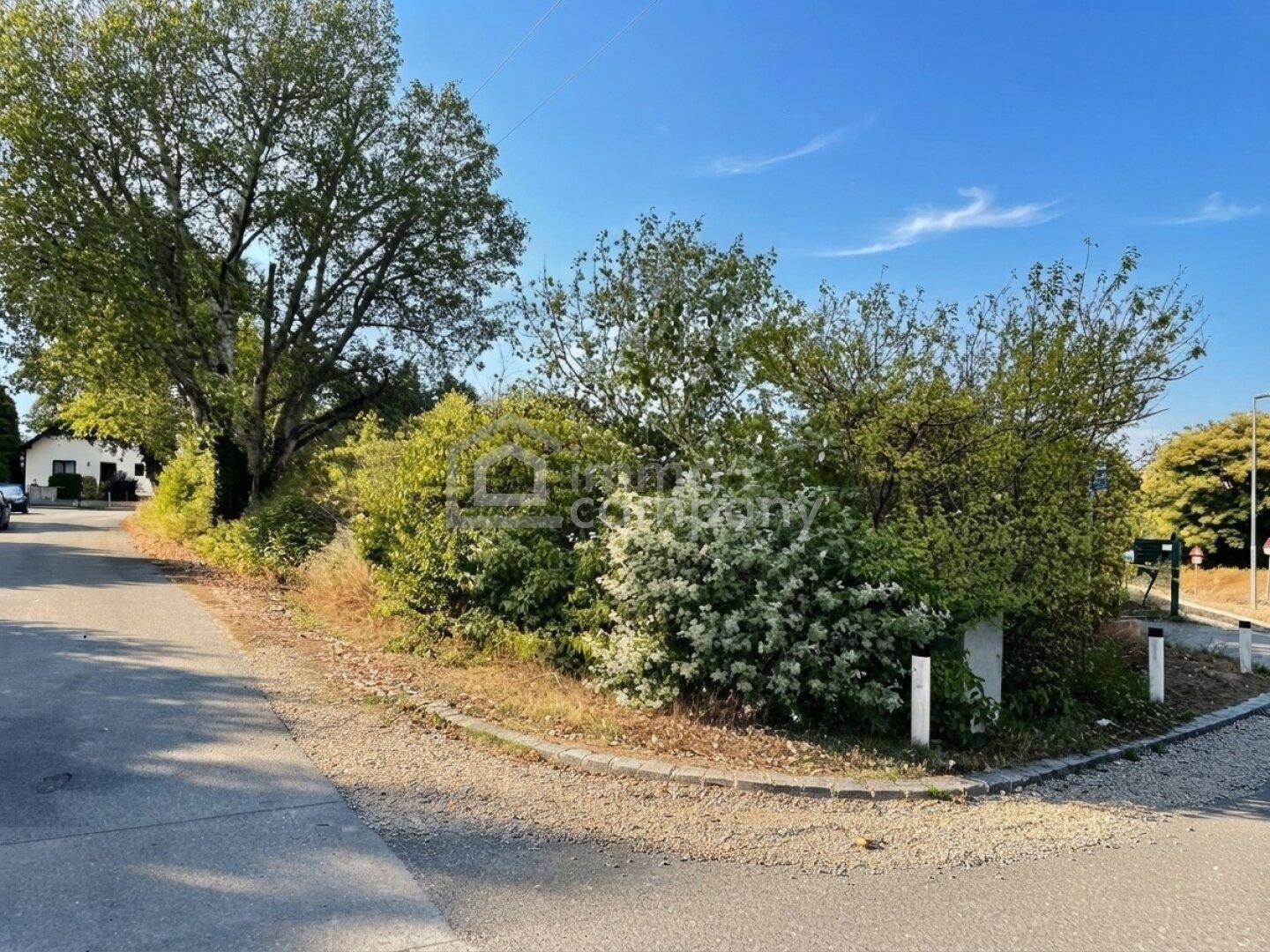 Blick von der Straße auf ein grünes Grundstück mit Bäumen, Büschen und einer ländlichen Umgebung.