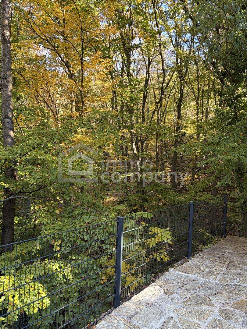 Blick in den dichten Wald mit herbstlichem Laub und einem schützenden Zaun.
