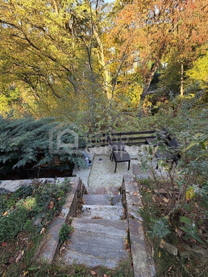 Steintreppe führt zu einem weiteren Sitzbereich im grünen, bewaldeten Garten.