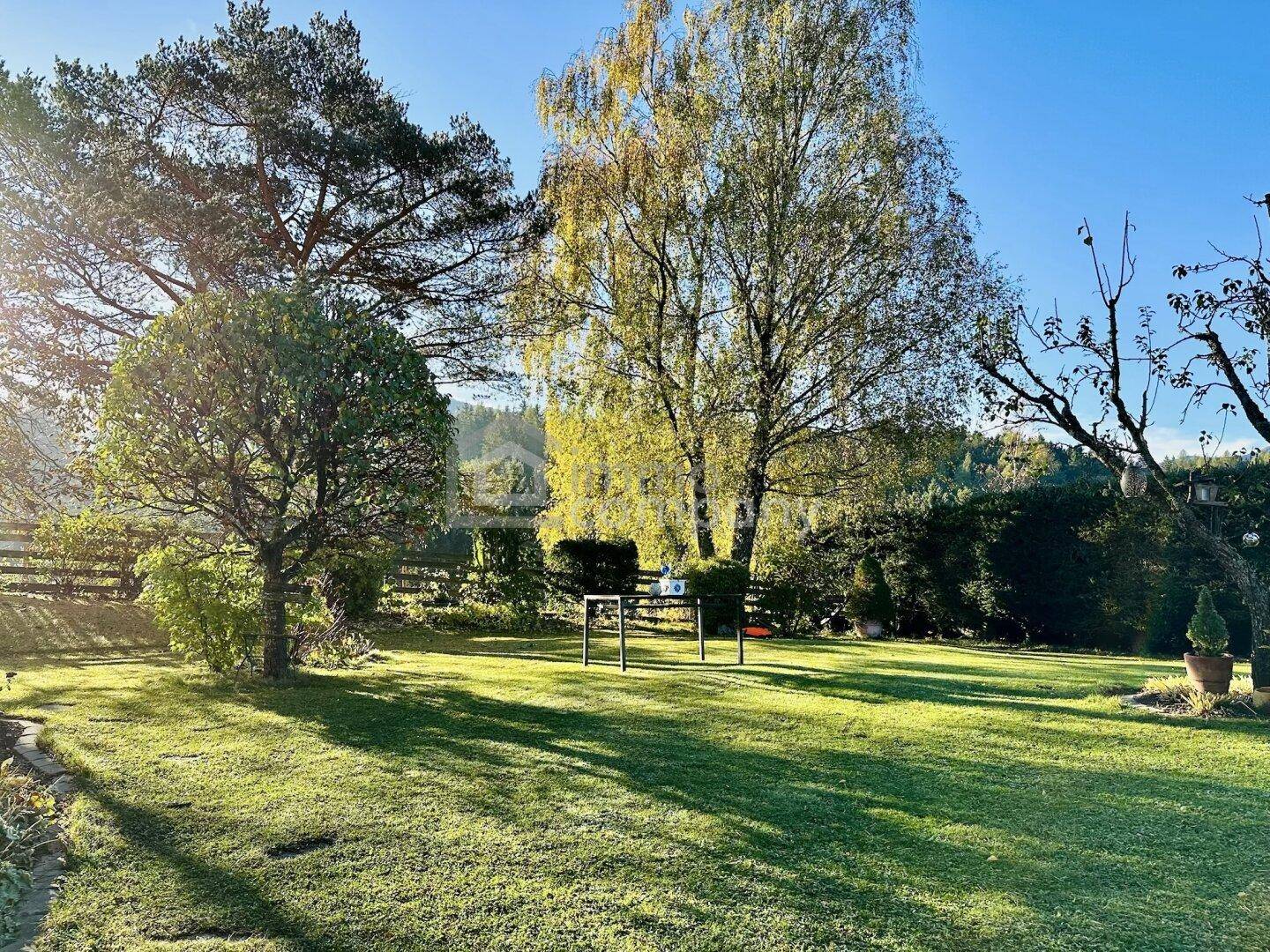 Weitläufiger, sonniger Garten mit Rasenfläche, hohen Bäumen und gepflegten Hecken.
