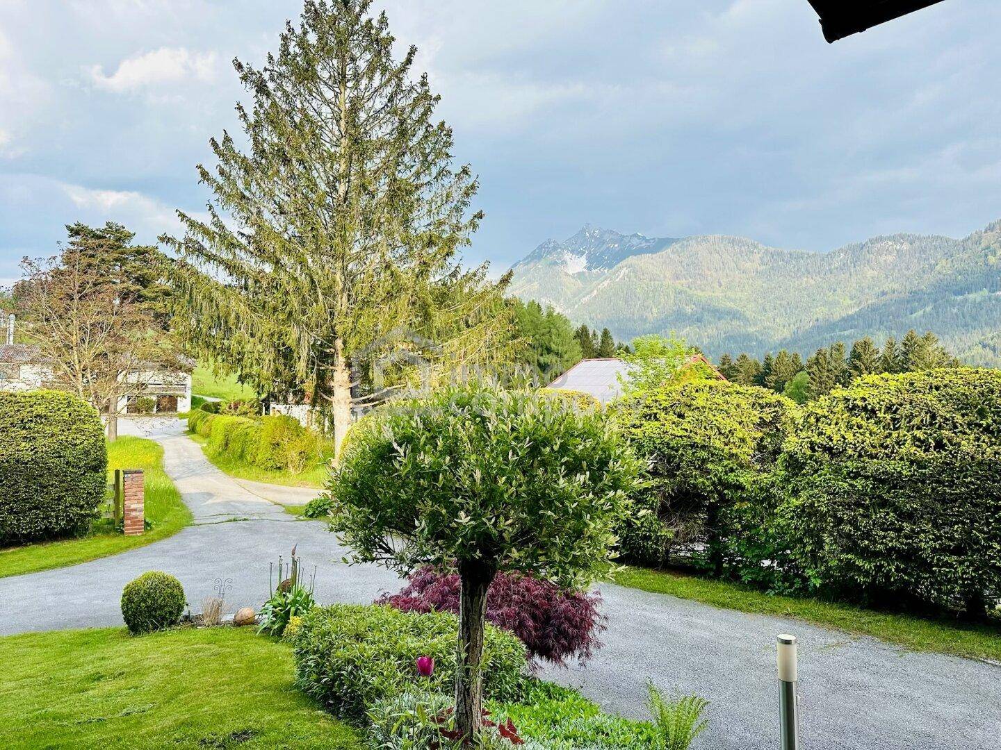 Panoramablick auf die grüne Landschaft mit Bergen und einem Teil der Zufahrtsstraße.