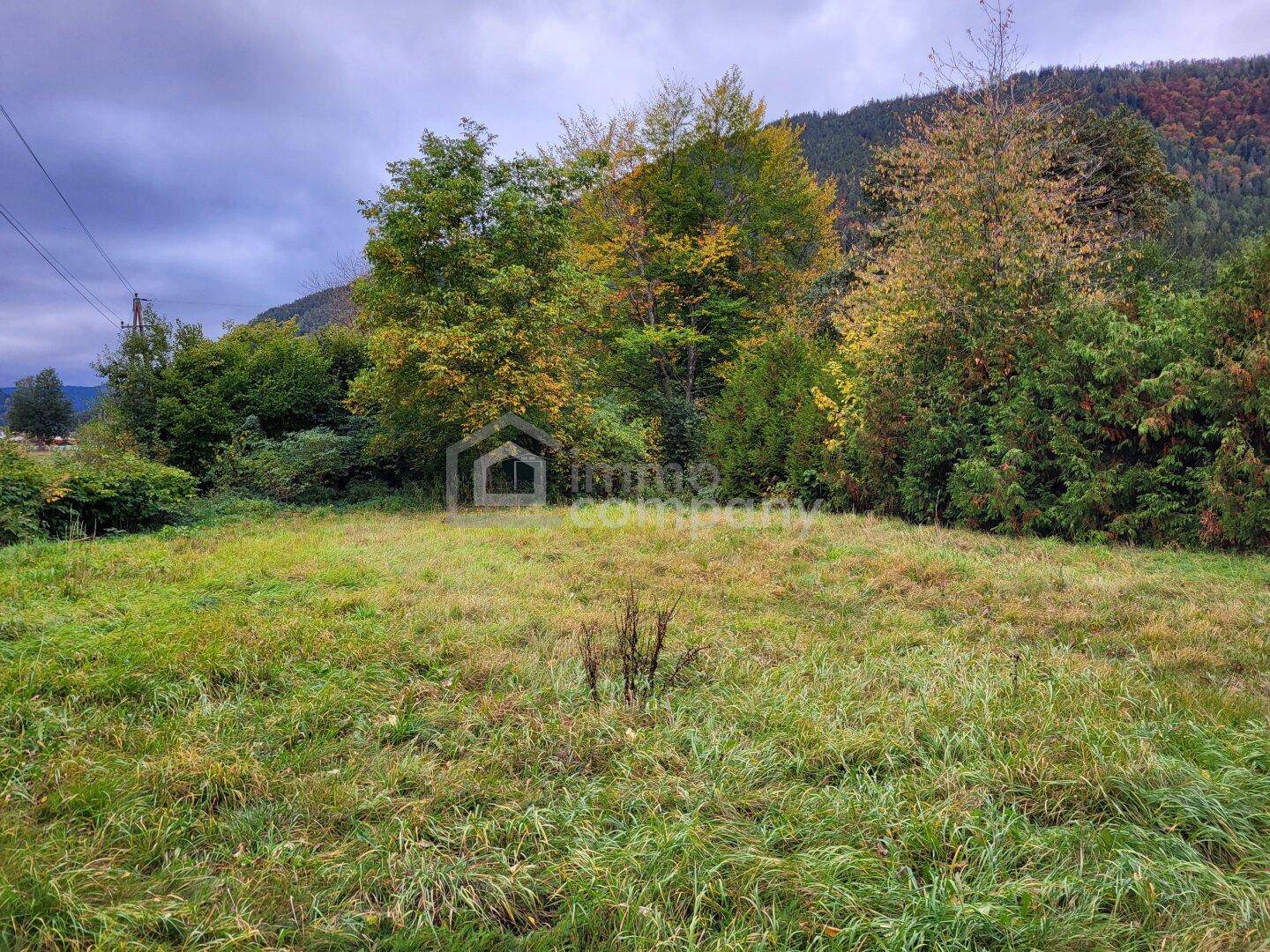 Weitläufige grüne Wiese mit Bäumen und bewaldeten Bergen im Hintergrund unter bewölktem Himmel.