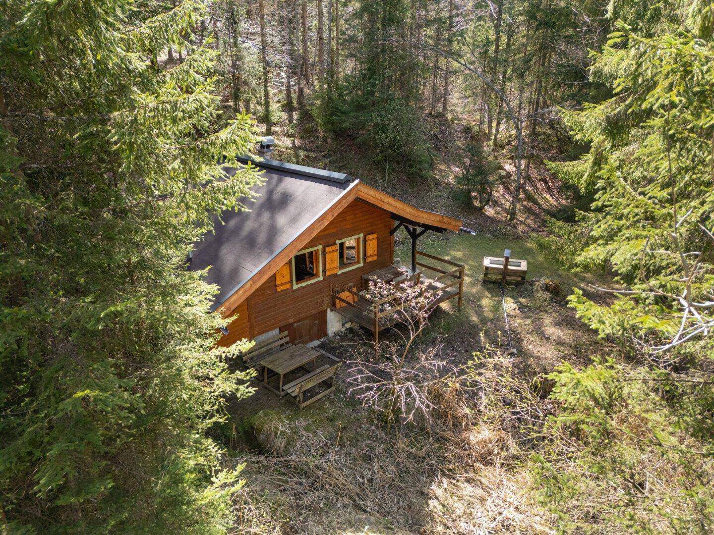 Luftaufnahme der rustikalen Holzhütte, eingebettet in dichte Wälder und grüne Landschaft.