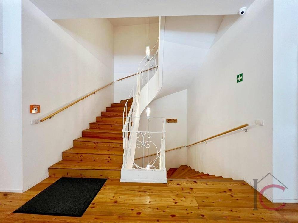 Elegantes Treppenhaus mit Holzstufen und einem geschwungenen, weißen Geländer.