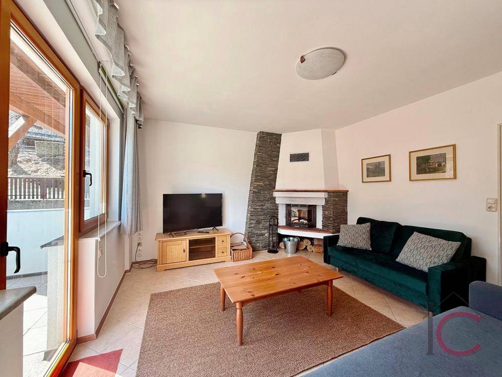 Wohnzimmer mit Kamin, Fernseher und Zugang zum Außenbereich, hell und einladend gestaltet.