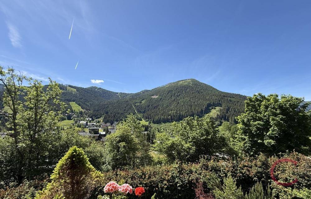 Panoramablick auf die grüne Berglandschaft und das Tal unter blauem Himmel.