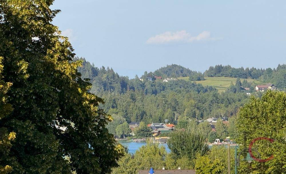 Malerischer Ausblick auf einen See, umgeben von grünen Wäldern und sanften Hügeln.