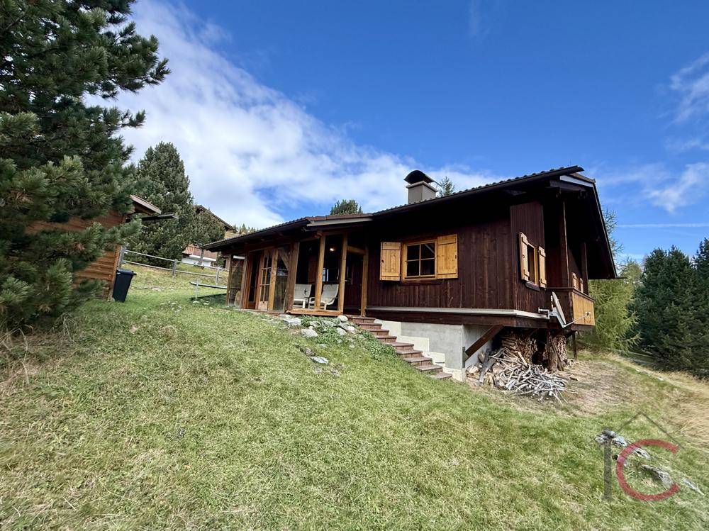 Charmantes Holzhaus in alpiner Umgebung mit sonniger Wiese und blauem Himmel.