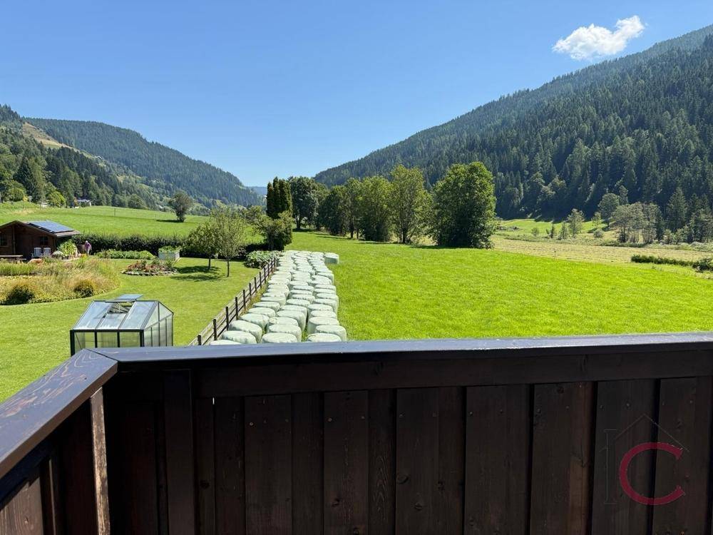 Weitläufiger Blick über grüne Wiesen und bewaldete Berge von einem Balkon aus.