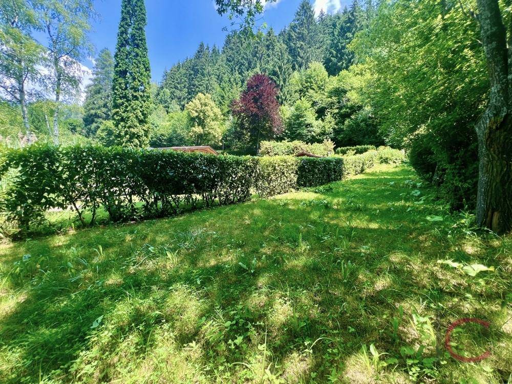 Sonniger Gartenbereich mit gepflegten Hecken und weitem Blick auf den umliegenden Wald.