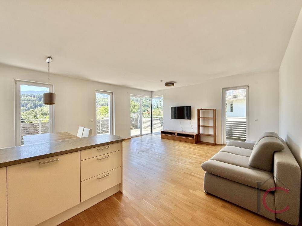 Geräumiger Wohnbereich mit Sofa, Medienecke und offener Küche mit Theke.