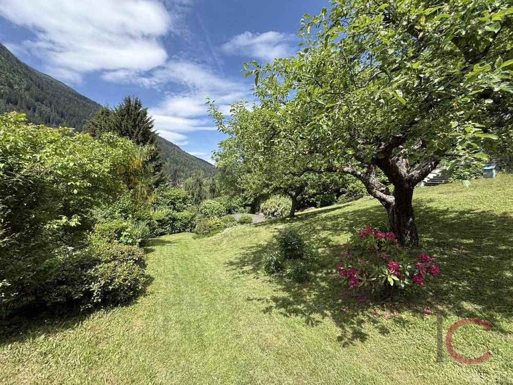 Weitläufiger Gartenbereich mit Rasen und alten Obstbäumen in sonniger Lage.