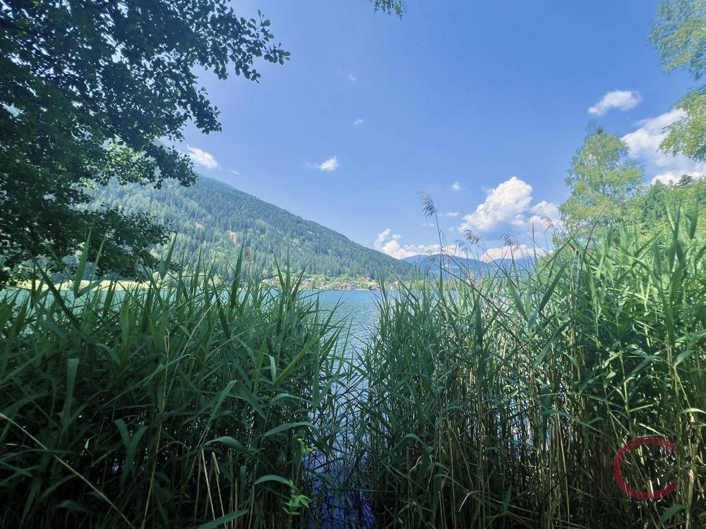 Malerischer Blick auf den See durch Schilf und Bäume, umgeben von Bergen.
