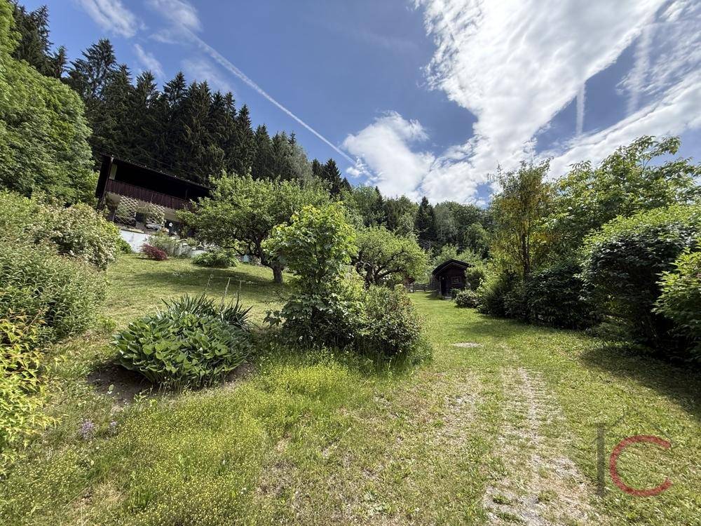 Grüner Gartenweg führt zu einem kleinen Holzschuppen, umgeben von Bäumen und Sträuchern.