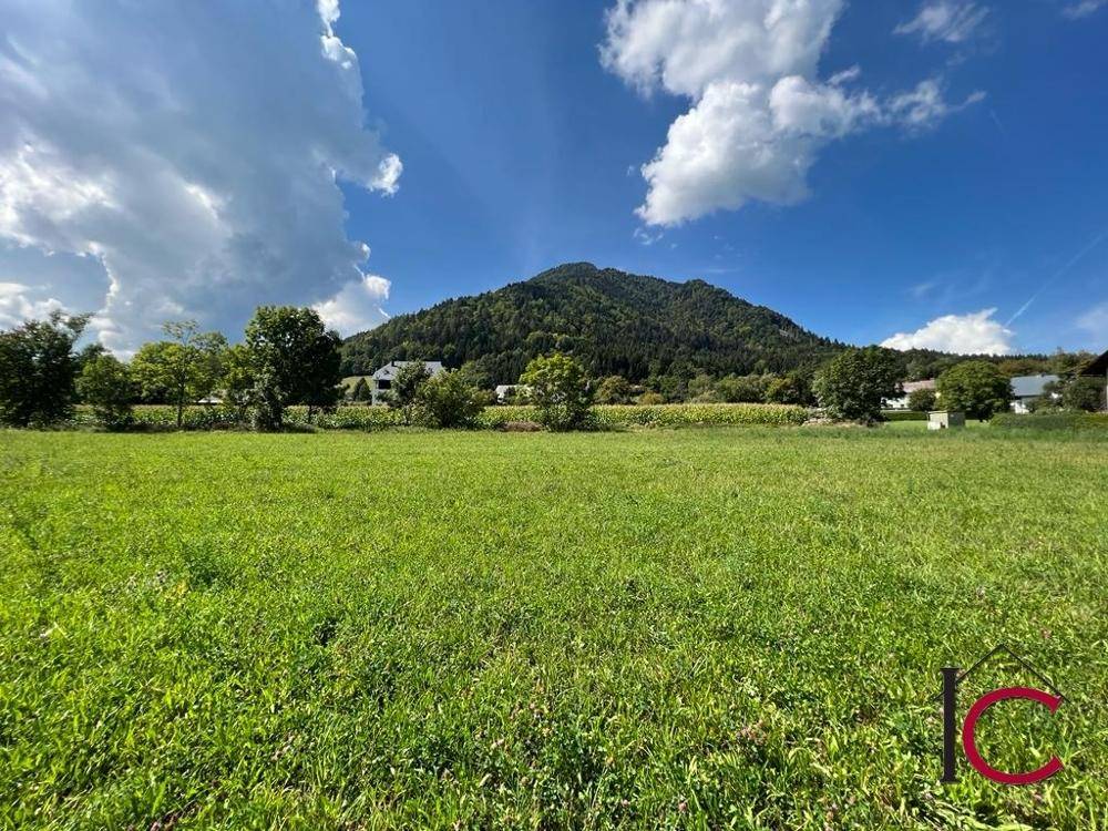 Malerische grüne Wiese mit bewaldeten Bergen im Hintergrund unter einem strahlend blauen Himmel.