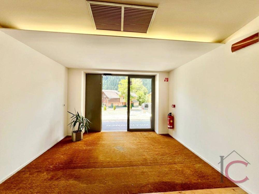 Wohnung Ebene Reichenau (1)