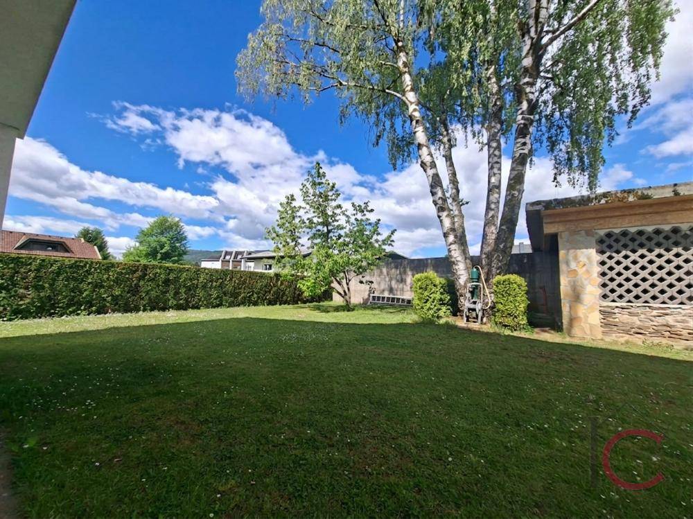 Großer, gepflegter Gartenbereich mit Rasen, hohen Bäumen und einer dichten Hecke.