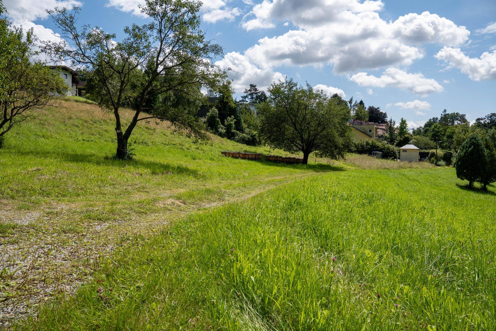 _DSC0354-HDR
