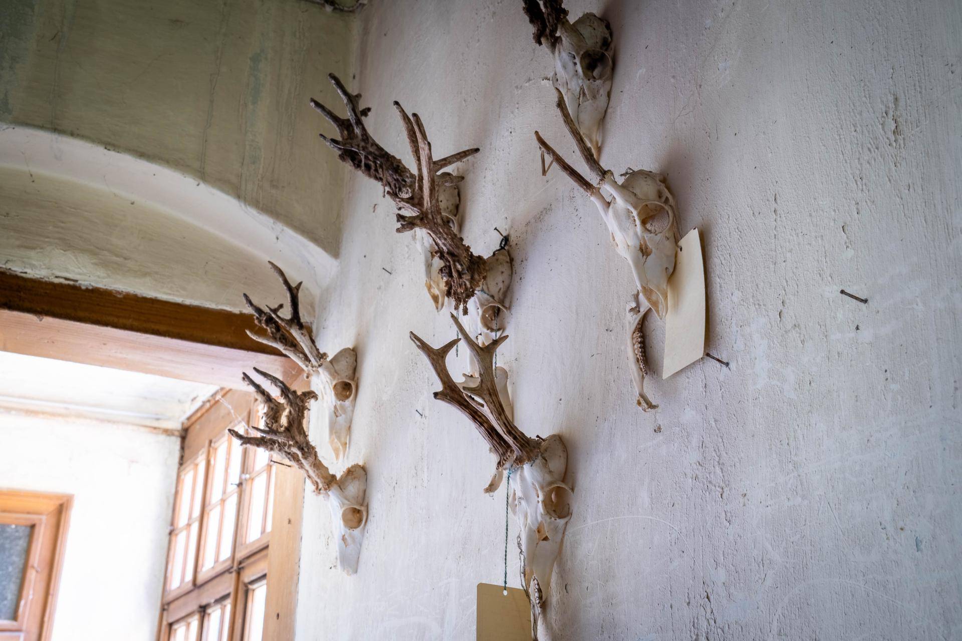 _DSC0561-HDR