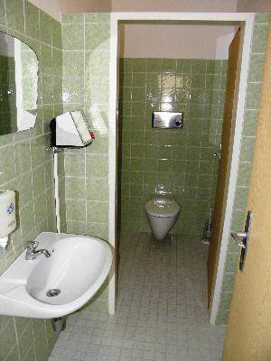 Gäste-WC mit grünen Wandfliesen, einem kleinen Waschbecken und einer Toilette.