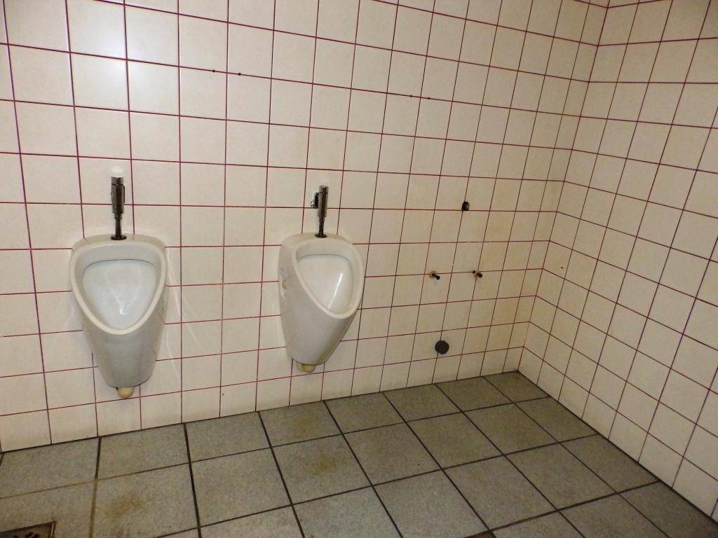 Zwei Urinale in einem gefliesten Raum mit hellen Wandfliesen und einem dunkleren Bodenbelag.
