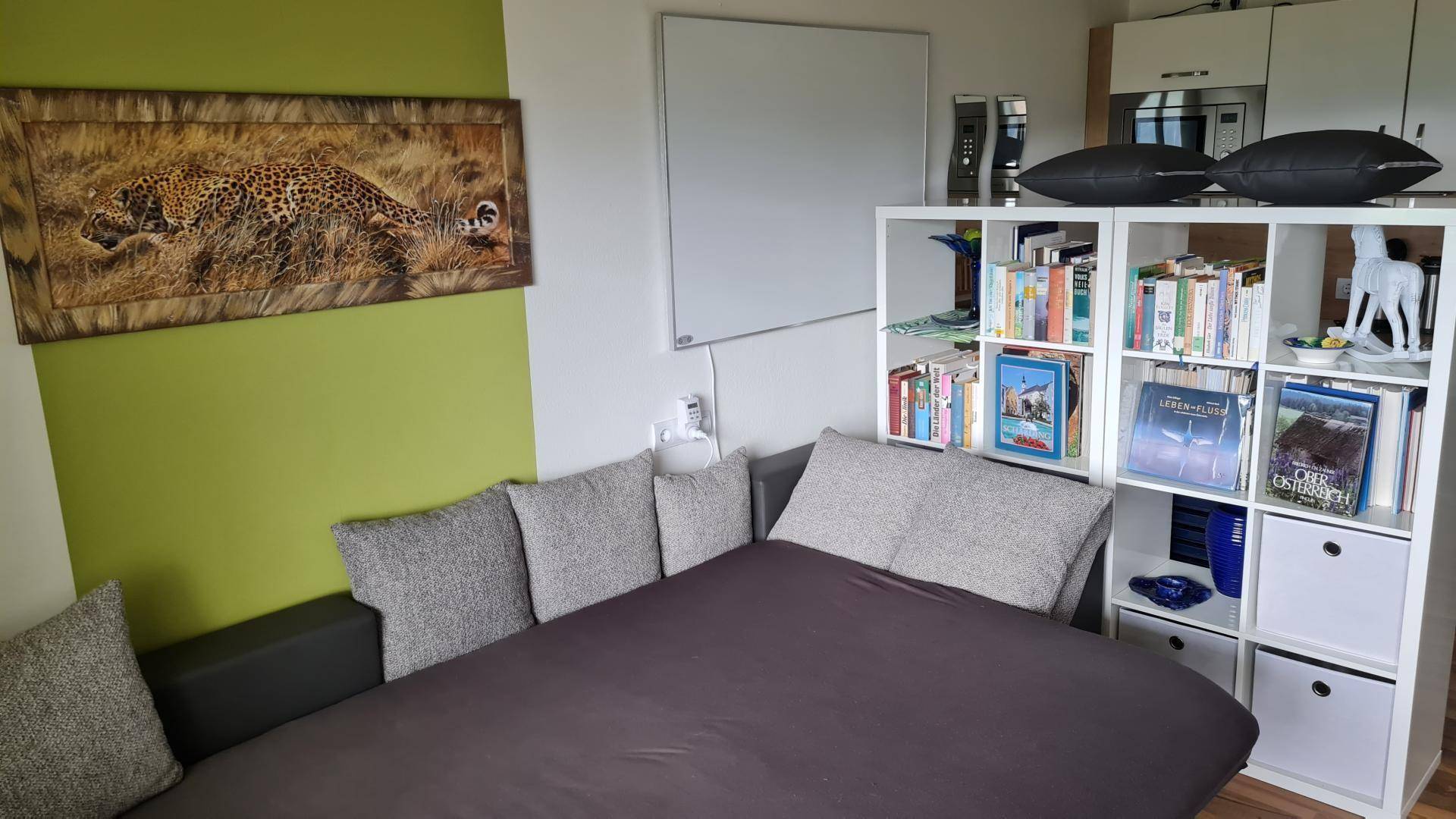 Wohn- und Schlafbereich mit Sofa, Bücherregal und Wanddekoration.