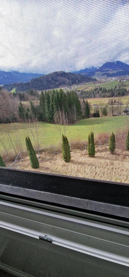 Detailansicht eines Fensters mit Fliegengitter und Blick auf Felder und Berge.