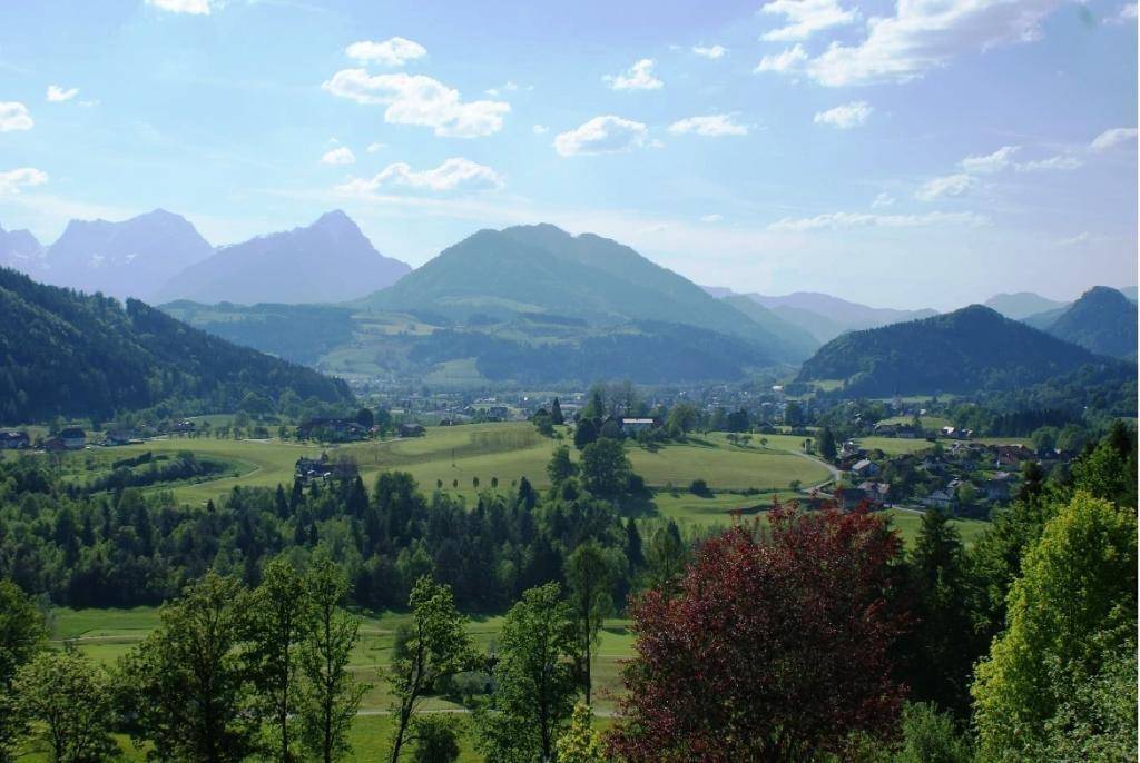 Weitläufige Landschaft mit grünen Hügeln, Wäldern und Bergen unter blauem Himmel.