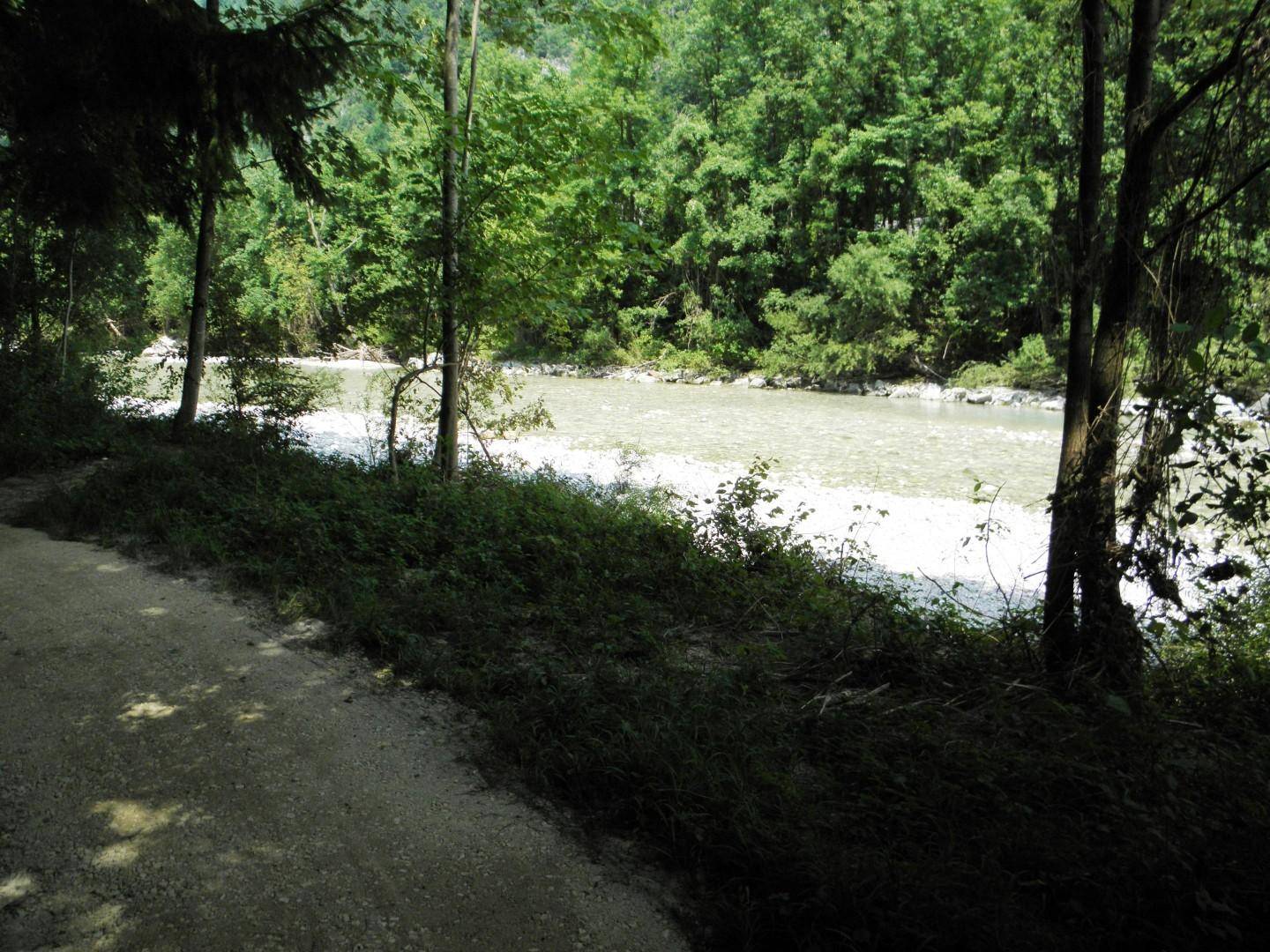 Flussufer mit einem schmalen Pfad im Vordergrund, umgeben von dichtem Wald und üppigem Grün.