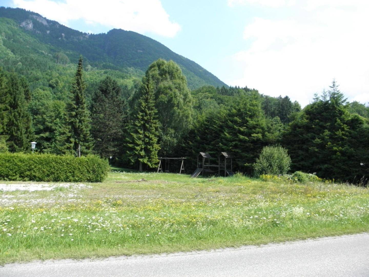 Grüne Wiese mit Spielplatzgeräten und majestätischen Bergen im Hintergrund unter blauem Himmel.