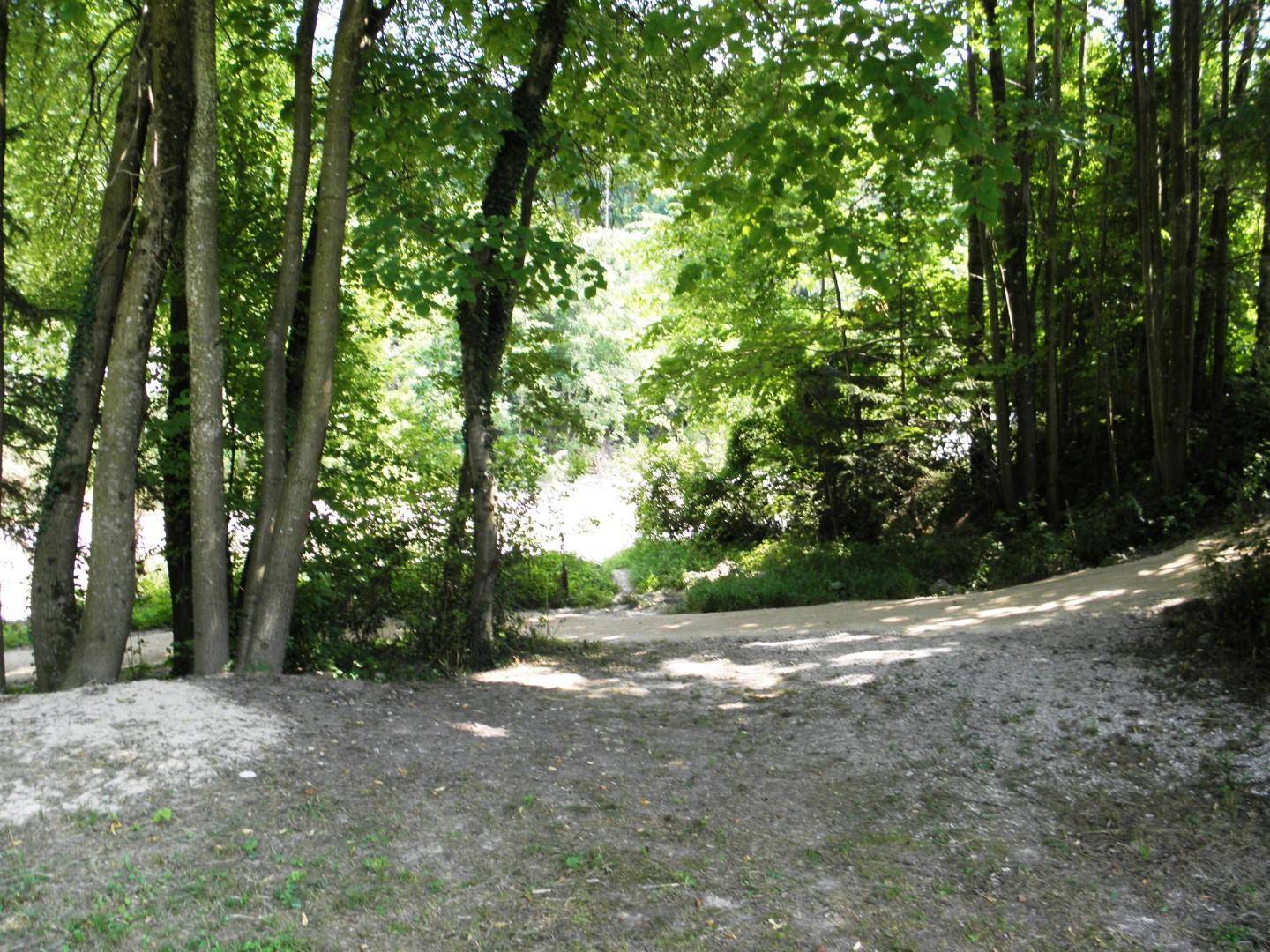 Waldweg, der in einen dichten Wald führt, mit hellem Licht, das am Ende des Weges durchscheint.