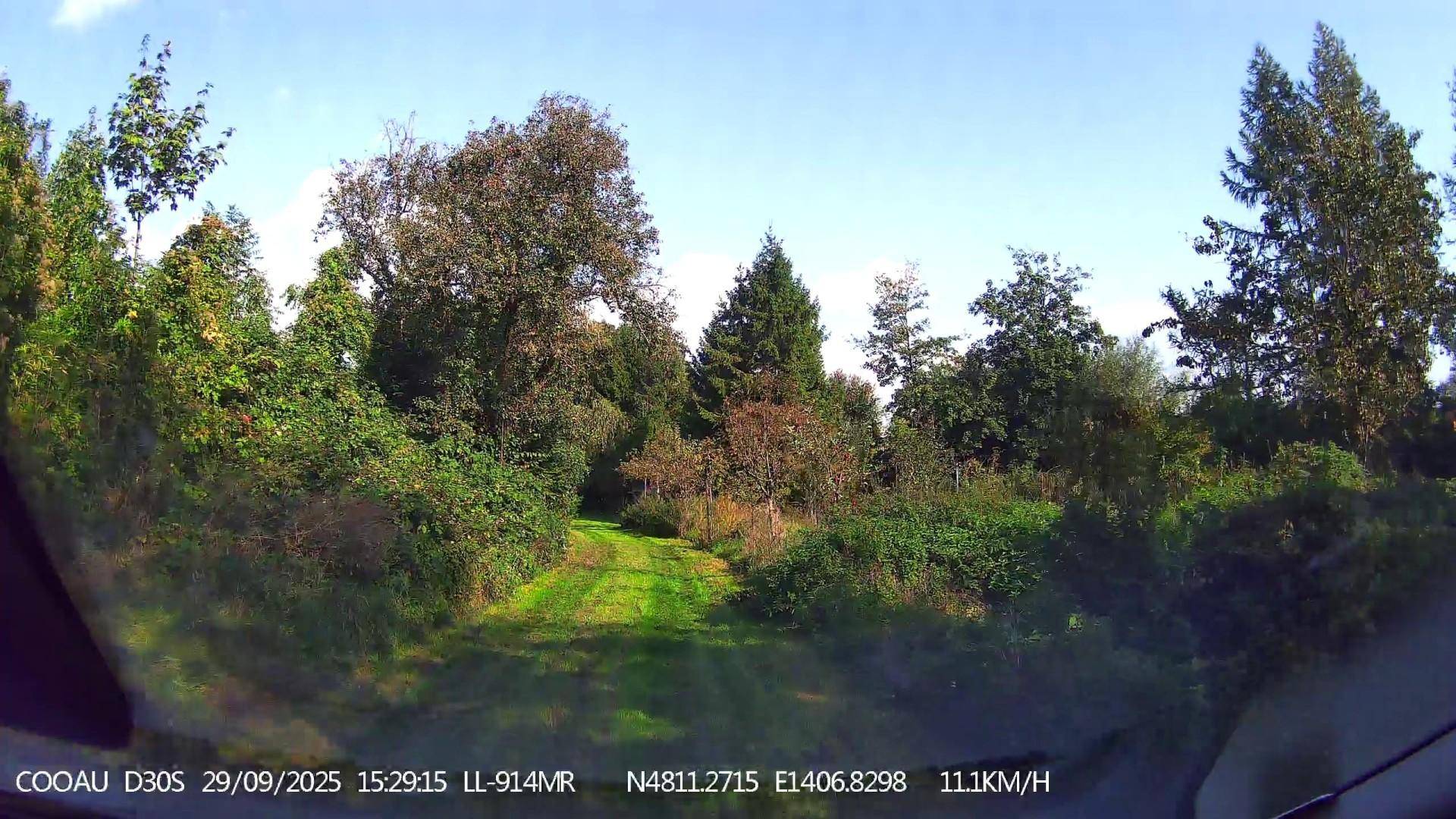 Breiter Gartenweg führt durch dichtes Grün und verschiedene Baumarten in einem naturnahen Bereich.