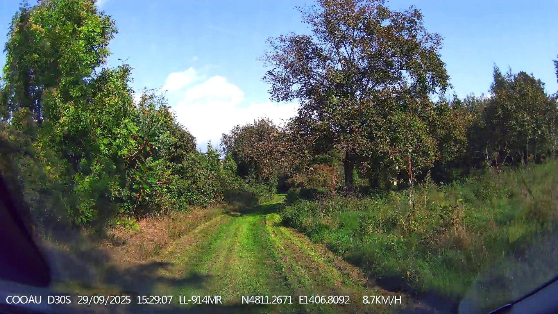 Naturbelassener Gartenweg umgeben von üppigem Grün und verschiedenen Baumarten unter blauem Himmel.