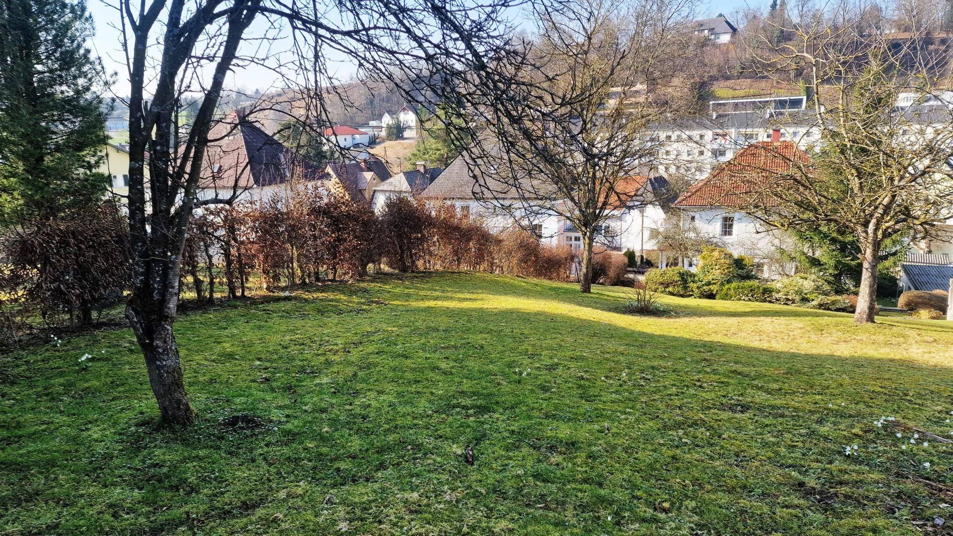 Grüne Hanglage mit Bäumen und Büschen, die einen Blick auf die umliegende Wohnsiedlung freigibt.
