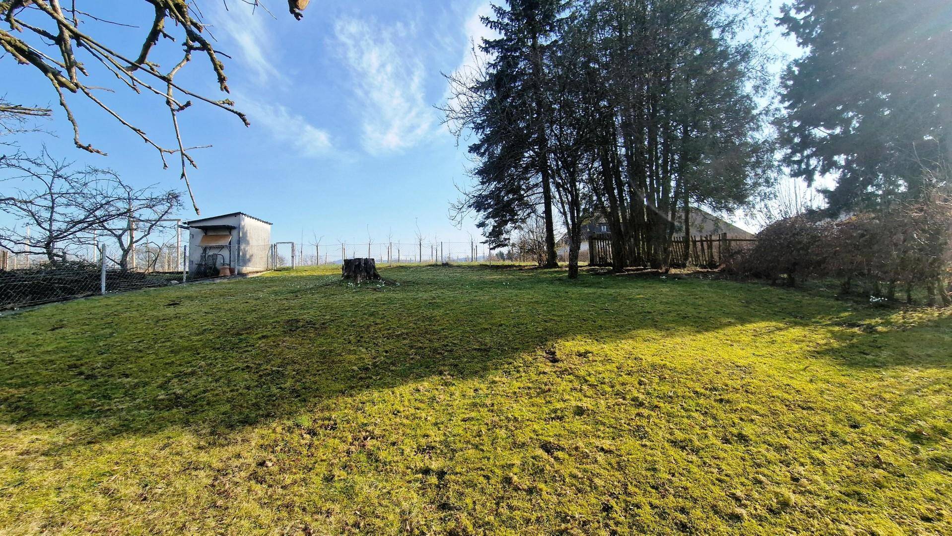 Große Rasenfläche mit einem kleinen Gartenschuppen und hohen Bäumen im Hintergrund.