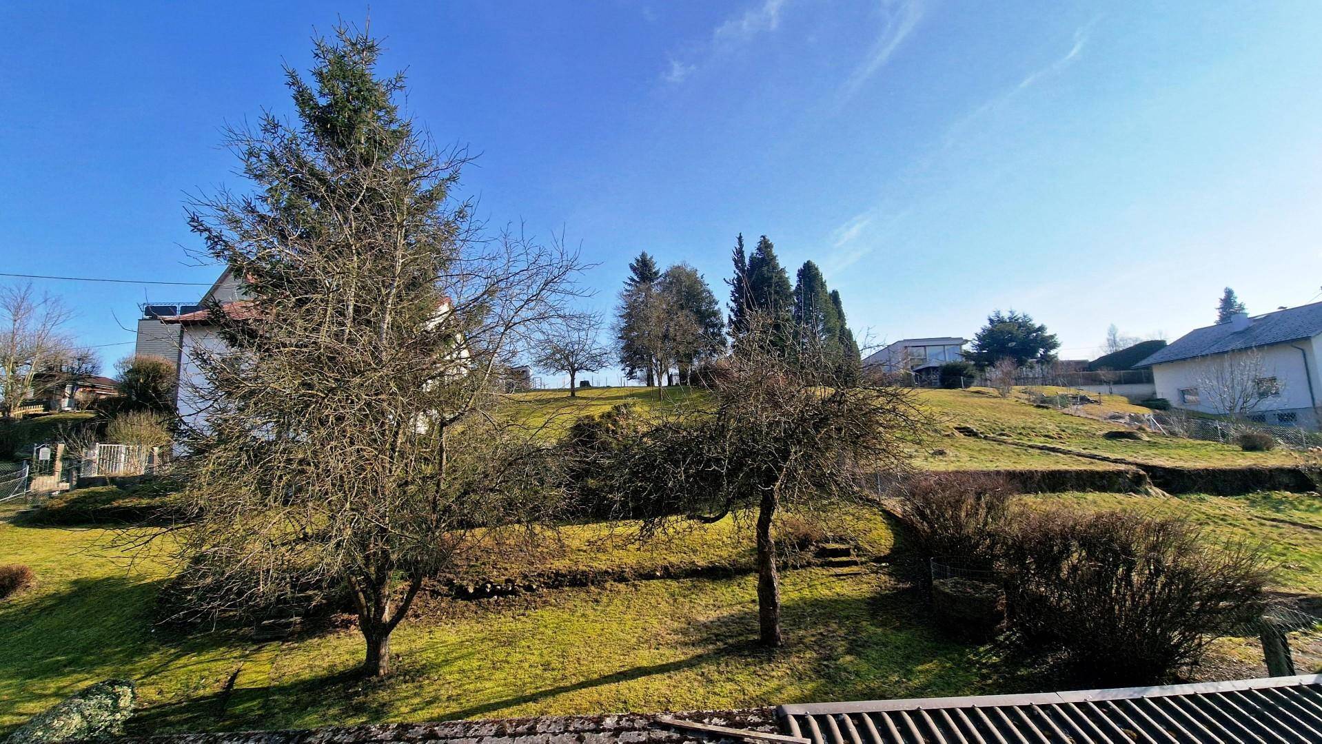 Panoramablick auf ein Wohnhaus und eine sanfte grüne Hügellandschaft mit verschiedenen Bäumen.