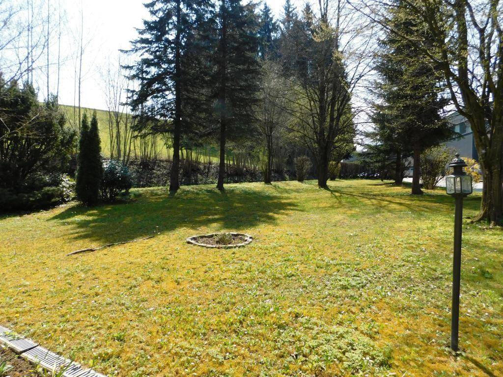 Weitläufige Rasenfläche mit altem Baumbestand, einer kleinen Blumenrabatte und einer Gartenlaterne.