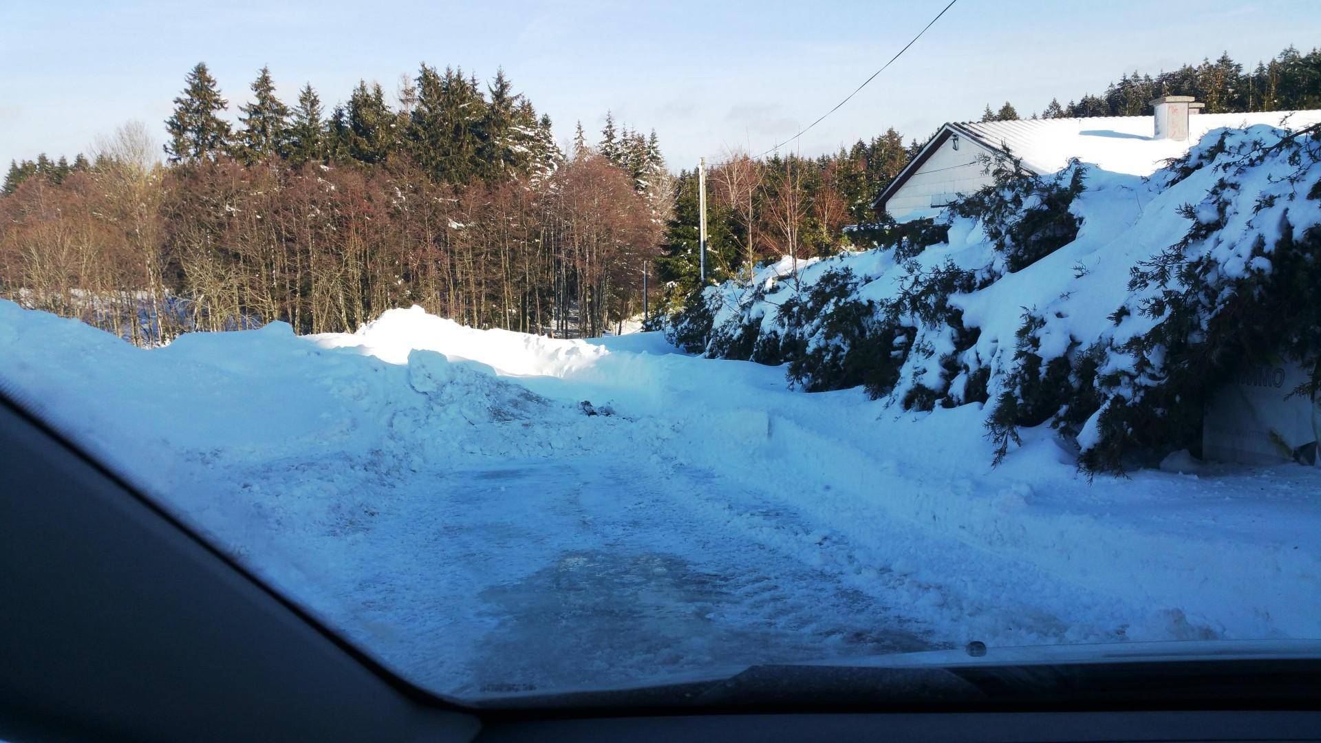 Schneebedeckter Weg umgeben von hohen Hecken und Bäumen in winterlicher Landschaft.