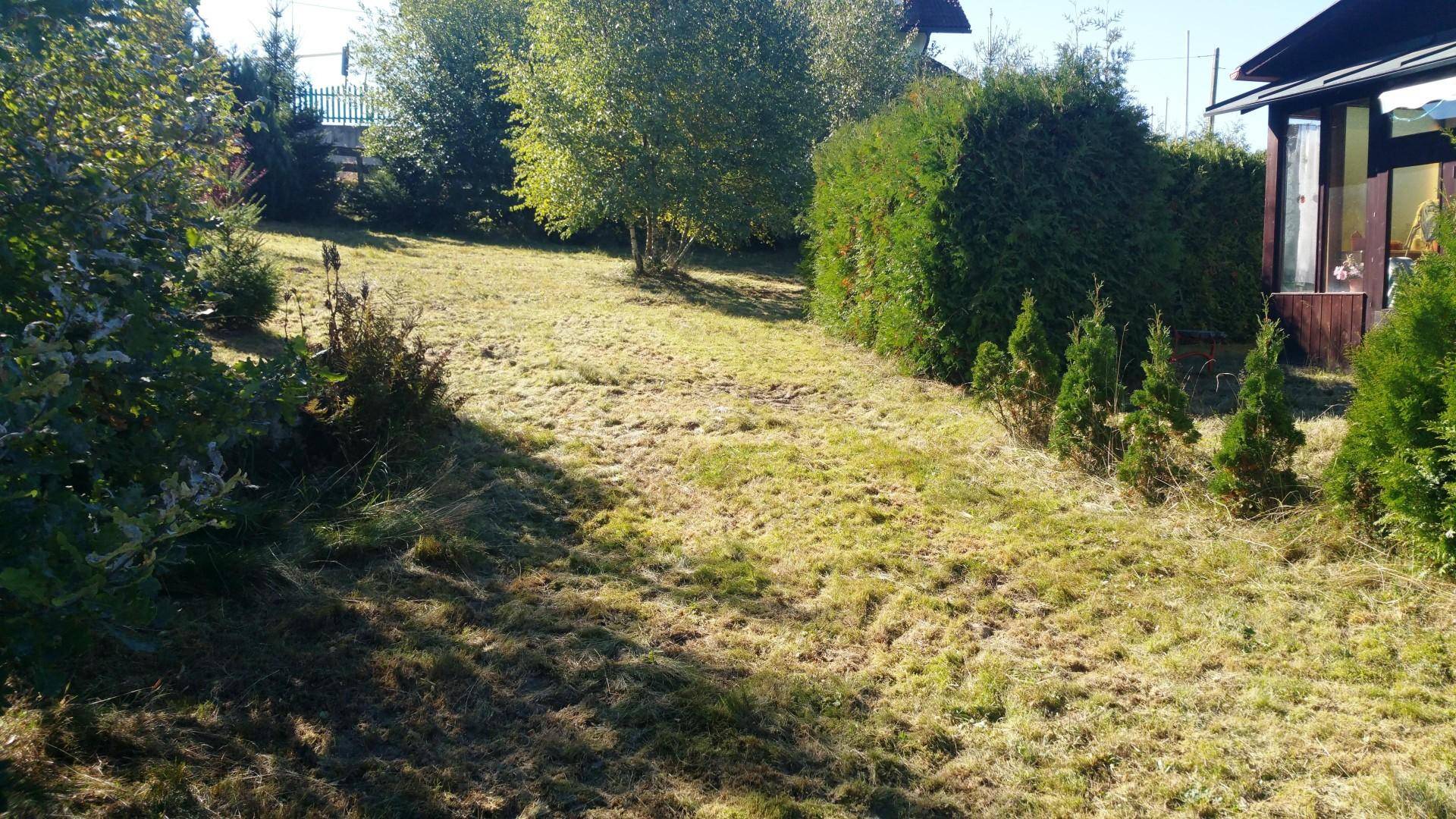 Abfallender Gartenbereich mit gemähtem Gras, umgeben von Bäumen und Sträuchern.