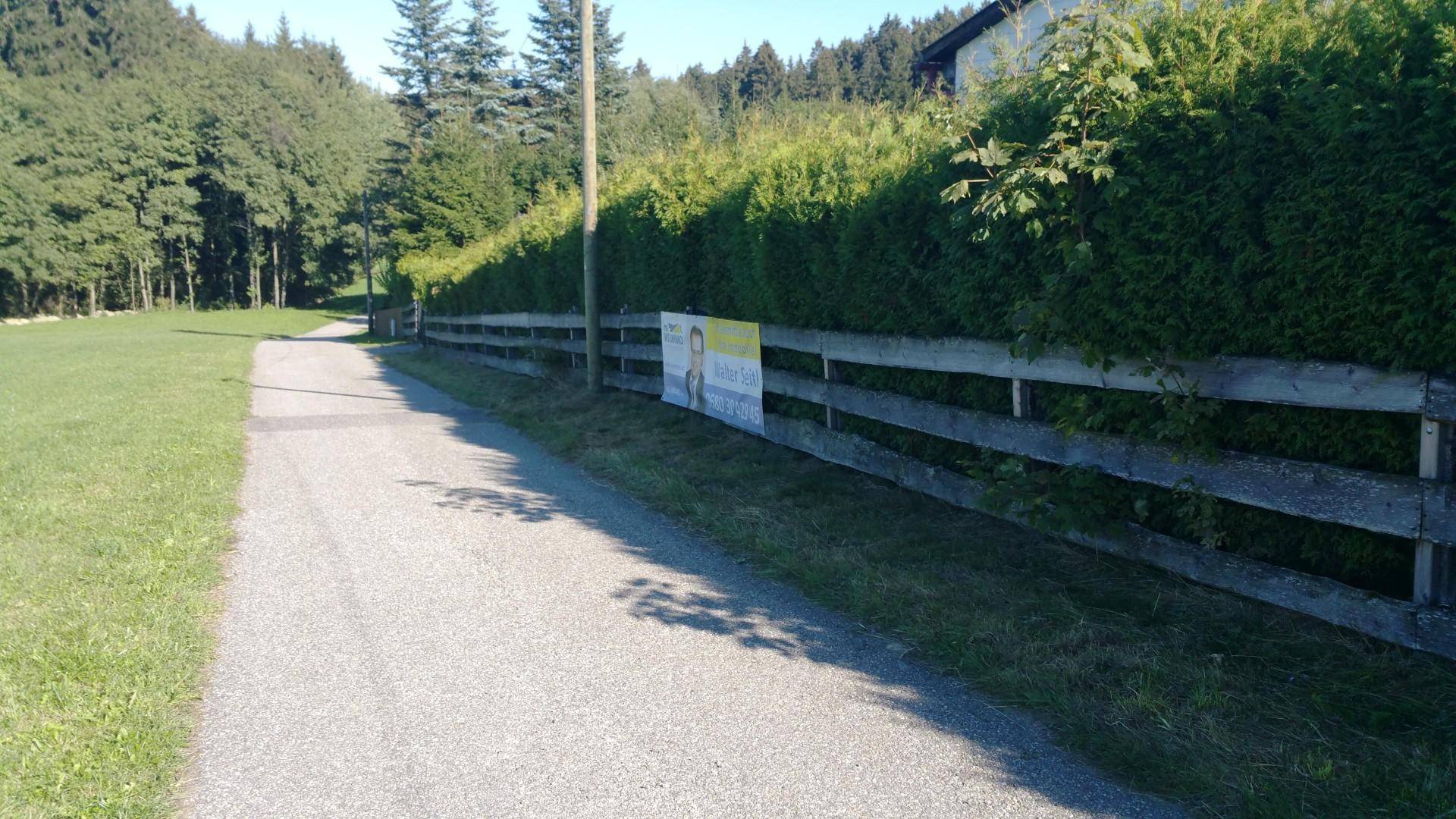 Asphaltierter Weg entlang eines Holzzauns und einer hohen Hecke in ländlicher Umgebung.