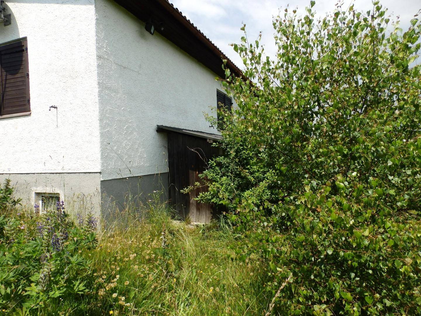 Seitenansicht des Hauses mit einem Holzeingang und dichtem Bewuchs im Vordergrund.